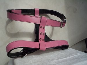 带铆钉的皮革狗背带 - Product Image 6