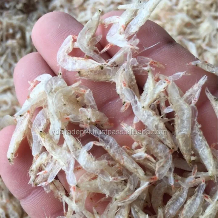 High Quality Dried Shrimp Good Seafood Made in Vietnam 100% Fresh Shrimp Top Selling Cheap Price