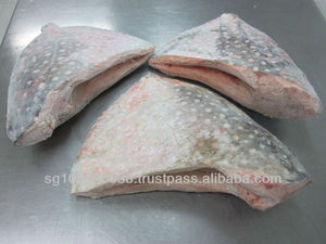 Dondurulmuş balık taze Tilapia tedarikçisi blok toplu tarzı ambalaj paket ağırlığı Lbs raf kökenli ayçiçeği HG-dondurulmuş deniz ürünleri - Product Image 3