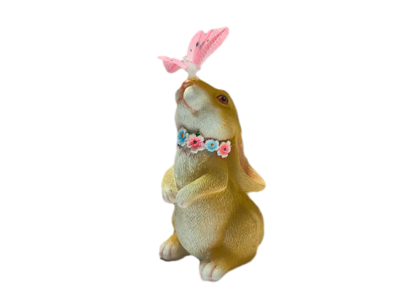 Lapin de jardin