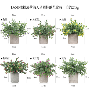 DS510