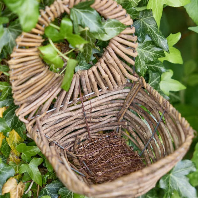 ธรรมชาติ