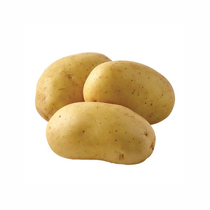 Best Quality Fresh <strong>Potato</strong>/Vegetable <strong>Potatoes</strong> Grade a - Wholesale/Bulk High Quality 100% Organic Fresh <strong>Potatoes</strong> From <strong>USA</strong> - Product Image 4