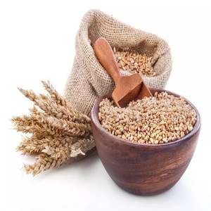 Yüksek kaliteli buğday/buğday tahıl/ukrayna yumuşak ve sert olmayan gdo buğday tahıl tohumları 50kgs/arpa - Product Image 2