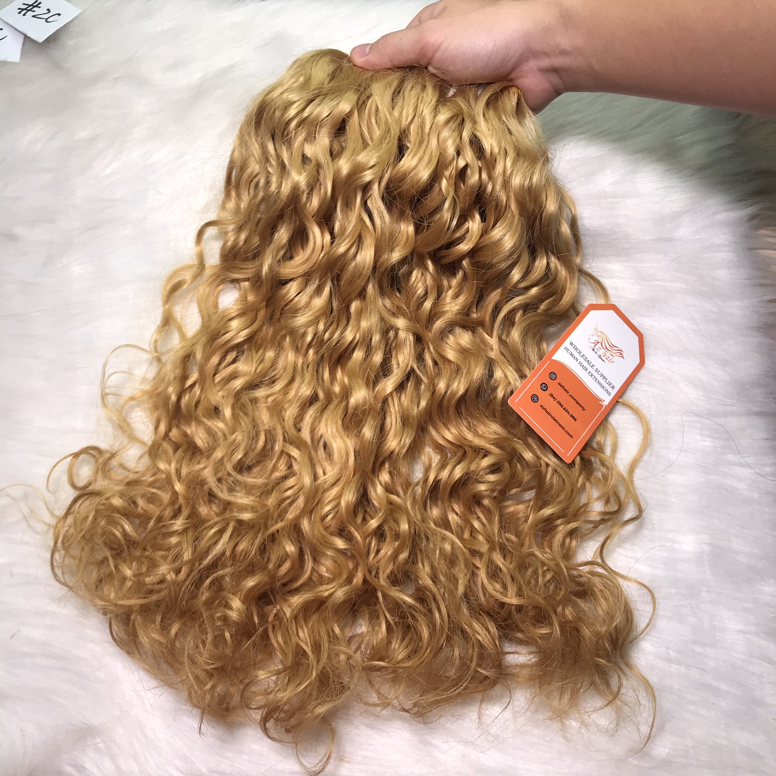 Birmano Rizado Rubia