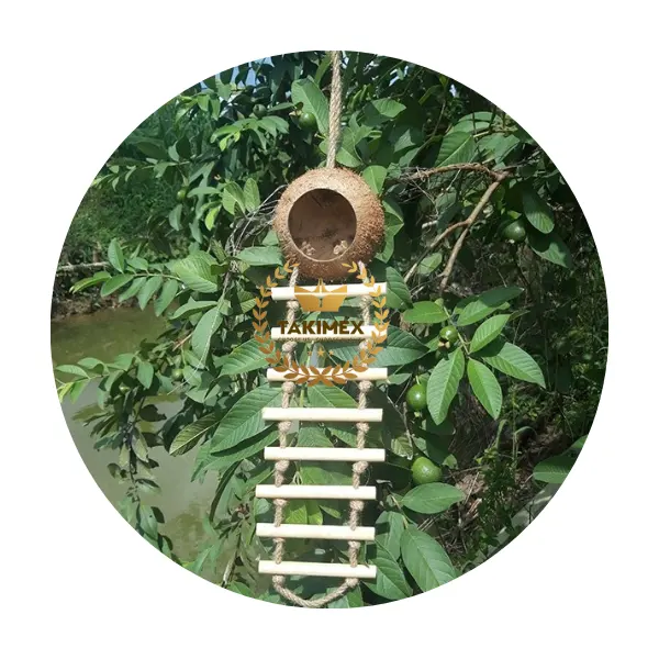 100% fatto a mano guscio di noce di cocco casa nido gabbia alimentatore dal Vietnam di alta qualità e prezzo a buon mercato