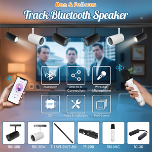V Bluetooth Micrófono inalámbrico Track Altavoz Bluetooth con función KTV y montaje magnético para sistemas de altavoces Track