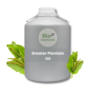 Greater Plantain <strong>Oil</strong> 5000ml (Premium Grade) Hot-Pressed Natural Local Plant From Thailand Factory Supply - Product Image 1