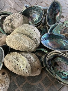 จี้เปลือกหอยเป๋าฮื้อขัดเงาเดี่ยวพร้อมสีรุ้งสวยงามงานฝีมือเปลือกหอยเป๋าฮื้อ-เหมาะสำหรับการทำเครื่องประดับ - Product Image 2
