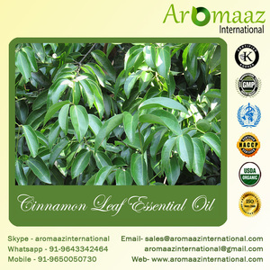 印度蒸汽蒸馏肉桂叶精油ISO认证精油贸易公司批量交易 - Product Image 6