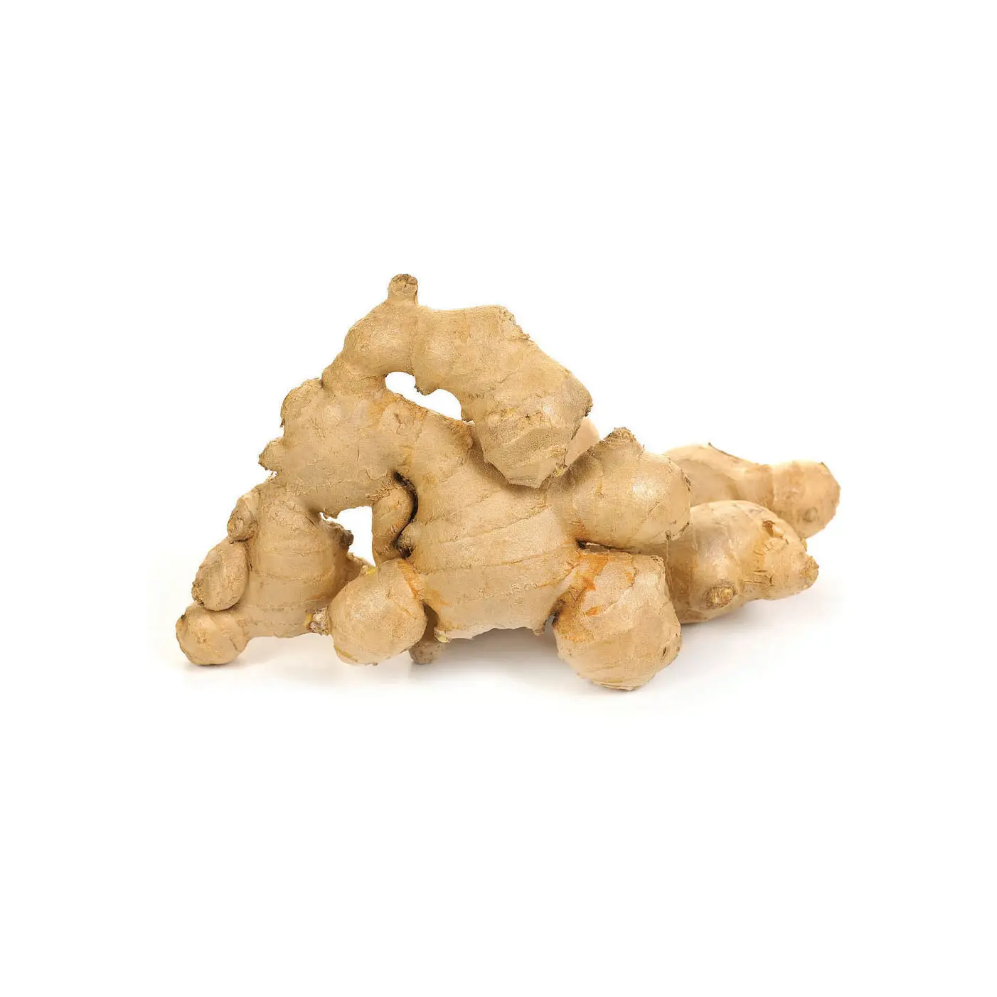New Crop Fresh Ginger For Sale - Ginger Root Superior Quality from Brazil - Spicy and Fragrant Flavor - Ginger Exporters