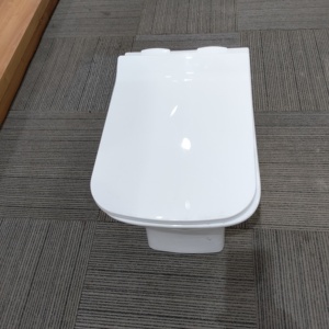 壁掛けトイレインドサプライヤーヨーロッパシニア壁掛けトイレバスルームセラミック壁掛けトイレ