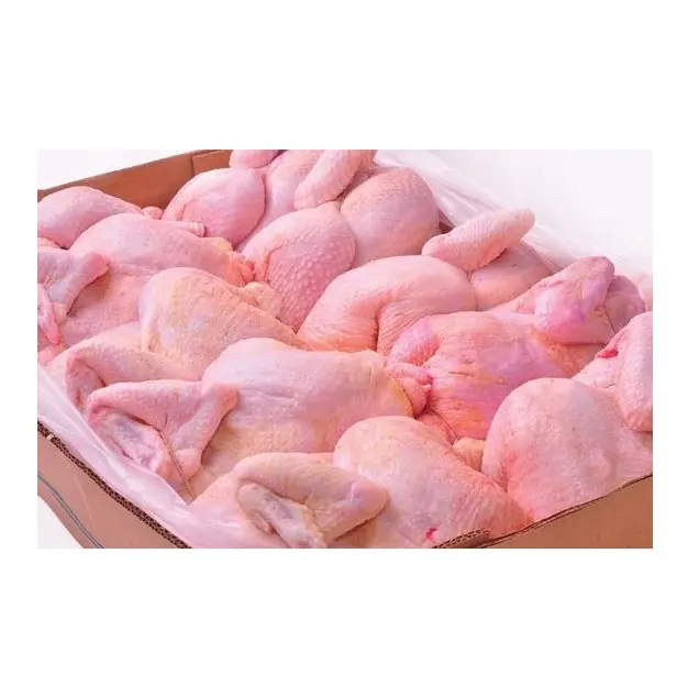 Qualitäts zertifizierte Halal Frozen Chicken Feet/ Chicken Wings/ Frozen Whole Chicken