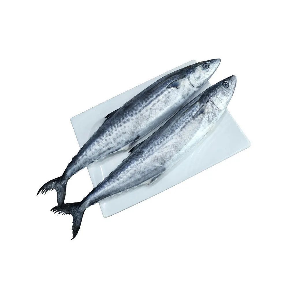 Dondurulmuş istavrit balığı deniz ürünleri