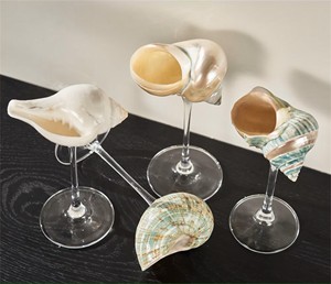 Ev çubukları ve tatil yerleri için otantik kabuklu deniz hayvanı kabuğu taban ve kristal berraklıkta cam üst ile Artisan hazırlanmış şarap bardağı - Product Image 4