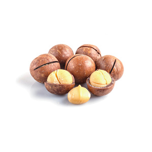 Nozes De Macadâmia Com Melhor Qualidade E Delicioso Sem Uma Casca
