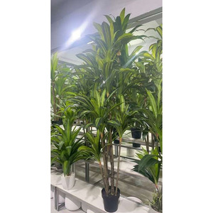 常緑多彩人工レインボータロイモ木120cmX3工場卸売