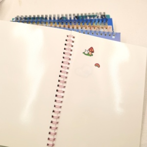 Özel kullanımlık çıkartma kitabı toplama albümü boş etiket depolama kitap yetişkinler için A5 boyutu 50 levhalar yapışkanlı kağıt Sticker - Product Image 1
