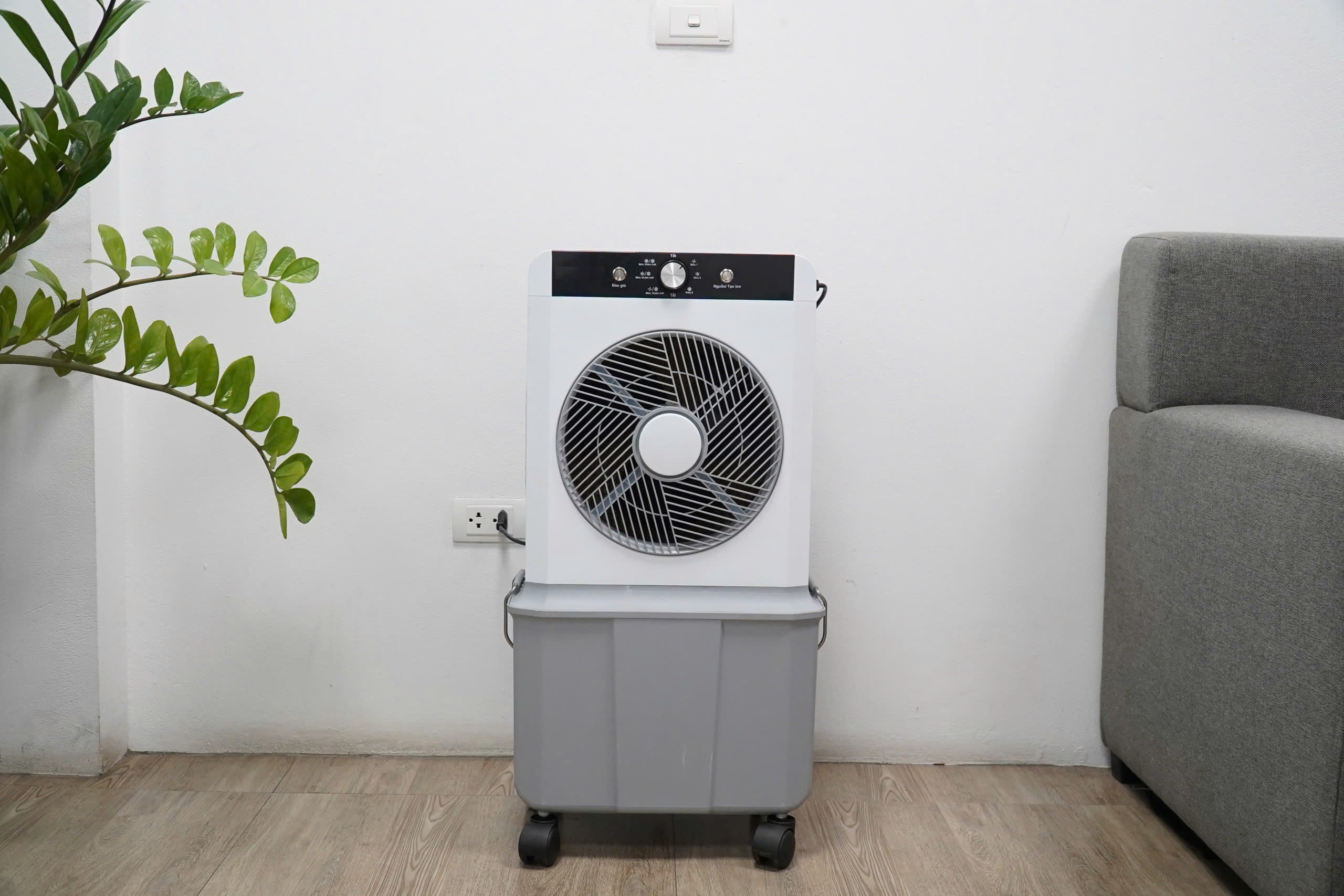 สีขาวและสีเทา