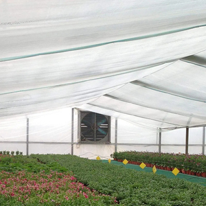 Sera kesme siparişi koruma rulo ambalajı için düşük maliyetli HDPE Anti-cibinlik - Product Image 2