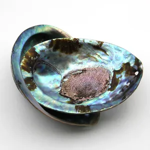 Organische Abalone-Schale in natürlicher Farbe - Product Image 4