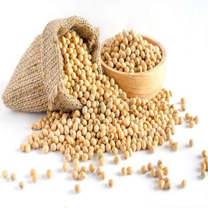 50kg torba filizlenme ve gıda sınıfı kuru sarı soya fasulyesi olmayan gdo soya fasulyesi - Product Image 1