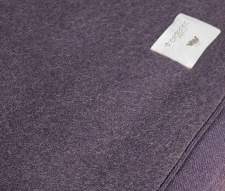 Abstract Purple Color