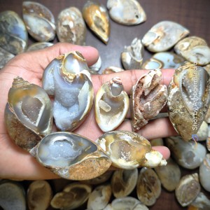 Doğal nadir fosil salyangoz Druzy akik | Doğal kabuk kuvars fantezi gevşek taş kabuk Opalized fosil takı için örnekler - Product Image 1