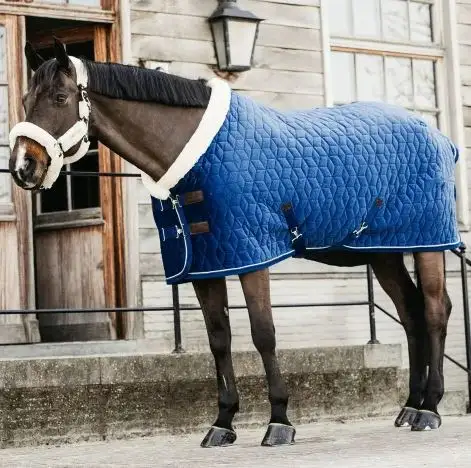 毛皮の羊の皮でキルティングされたネイビーベルベットの馬の敷物/毛布100G200G300Gファイリングポリエステルカスタマイズ可能な最新のデザイン