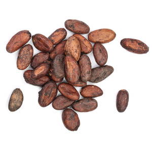 可可豆干和烤可可豆各种加工类型 - Product Image 1