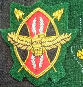 תגים מותאמים אישית של pakistan כסף באיכות גבוהה רקמת חוט תבשיל-על אביזרים אחידים עם עבודת חוט מטילים