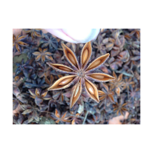 Doğal organik sonbahar yıldız anason-büyük çiçek boyutu-üst Vietnam tedarikçisi baharat çantası ambalaj baharat k2 - Product Image 5