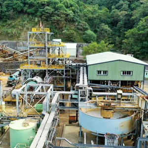 200t/d Nickel <strong>Ore</strong> Separation <strong>Mining</strong> Process Equipment Nickel Concentrate Extraction Recovery Processing Plant - Product Image 3