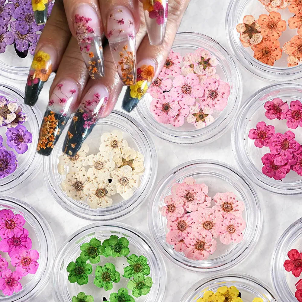 Décorations d'art d'ongle en résine 3D fleurs séchées Bijoux de charme d'ongle floral naturel Fleur sèche pour ongles