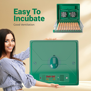 High Quality 70 Egg <strong>Chicken</strong> Incubator with Digital Display and Automatic Turning System ECO PROFI <strong>C</strong>-70 - Product Image 6