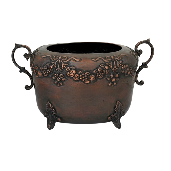 แสดงภาพ