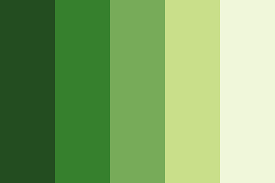 Parrot Shade