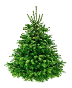 Yapay noel ağaçları satın al