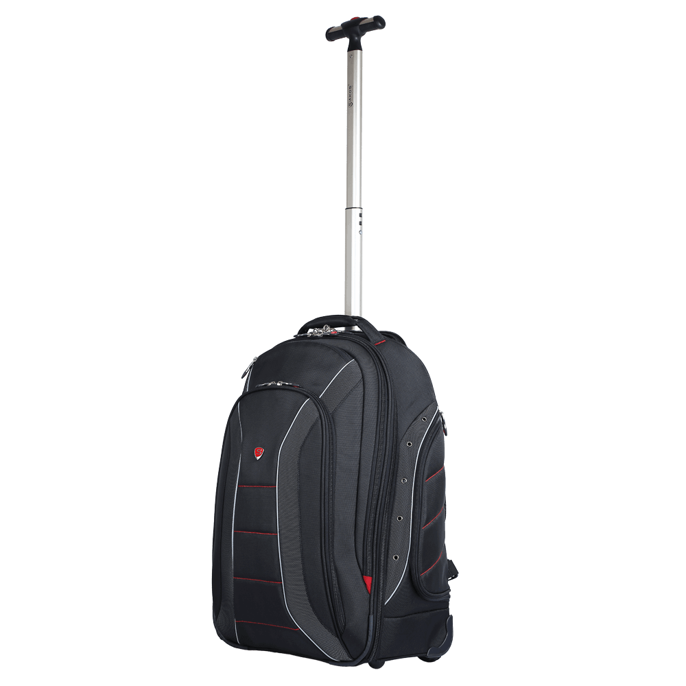 สีดำและสีเทา