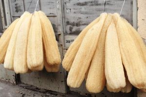 Güvenli ve biyobozunur lif kabağı sünger/banyo veya sabun veya vücut yıkama ile duş kullanılabilir. - Product Image 4