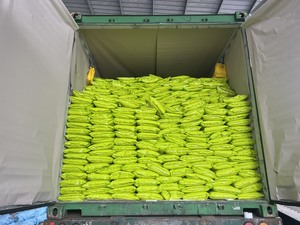 トップVilaconic Rice Factoryから直接入手した柔らかい質感のMalagkitホワイトもち米乾燥粘着米84796855283