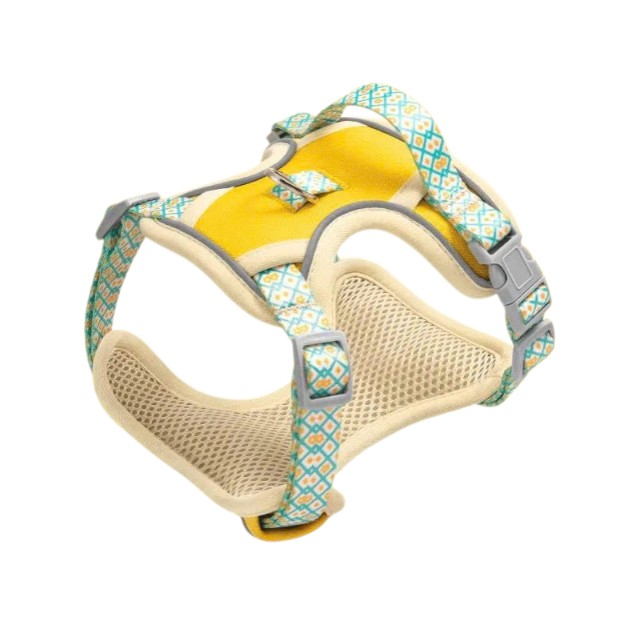 เหลือง + เขียว