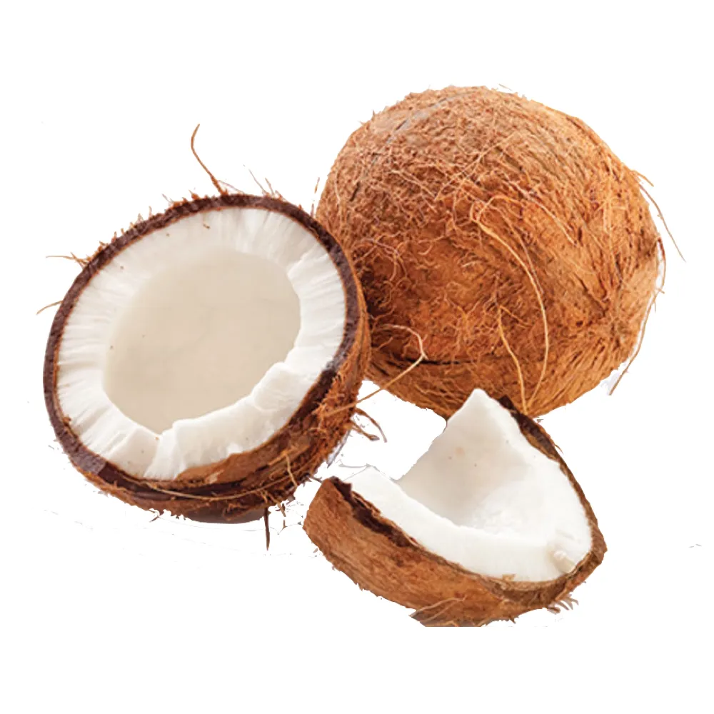 Alta qualidade Semi casca amadurecido coco pronto para venda