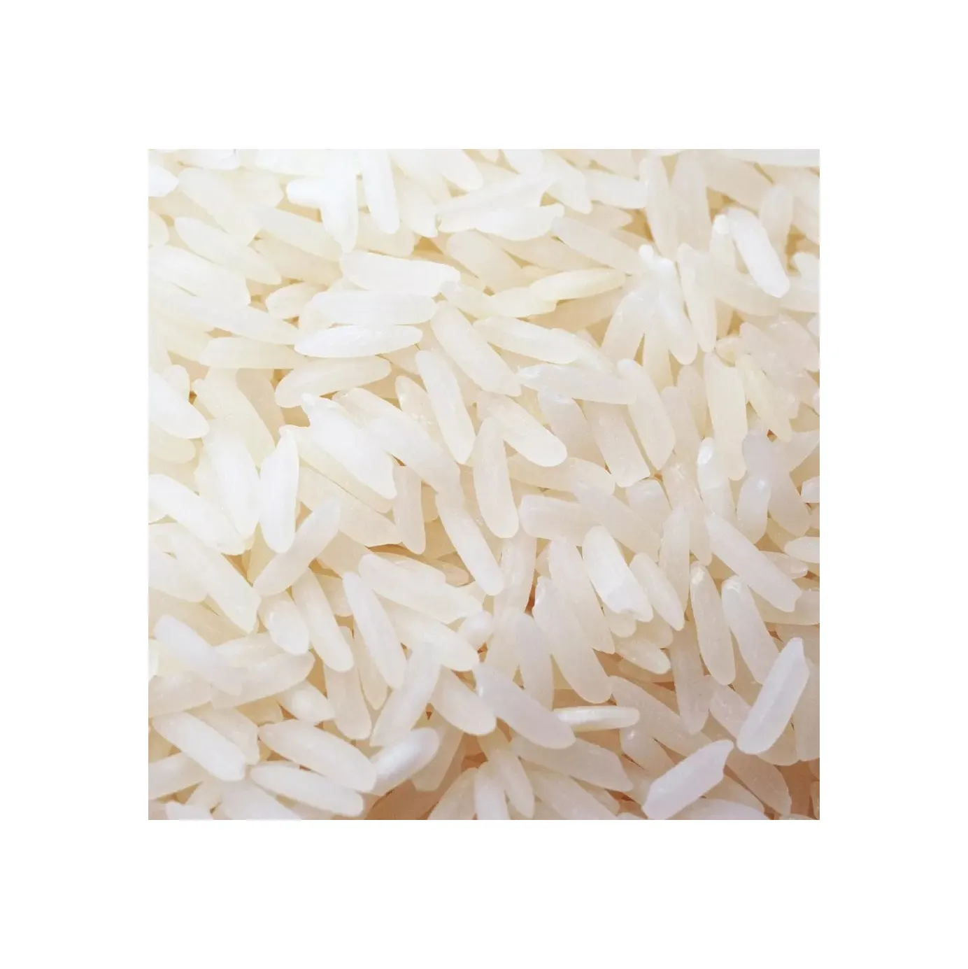 Arroz de grano largo orgánico de calidad superior al mejor precio Producto saludable Arroz de jazmín blanco de grano largo 5% Roto Alta calidad pro