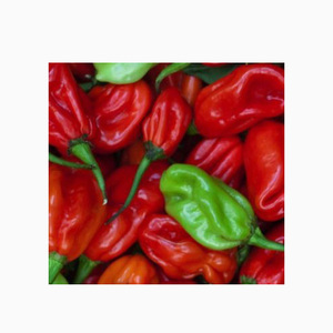 <span class=keywords><strong>Habanero</strong></span>新鮮な純粋なカプサイシン赤唐辛子袋に詰めて販売唐辛子赤唐辛子粉末スパイス混合黄色の袋