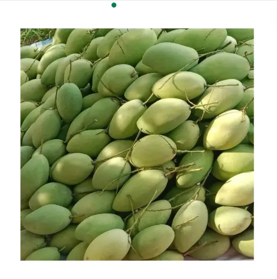 frische neue Ernte Mangos aus Vietnam Bauernhof verpackt in Schachteln für Massenverkauf 2024 günstig Großhandel direkt fabrikpreis Vietnam-Mango