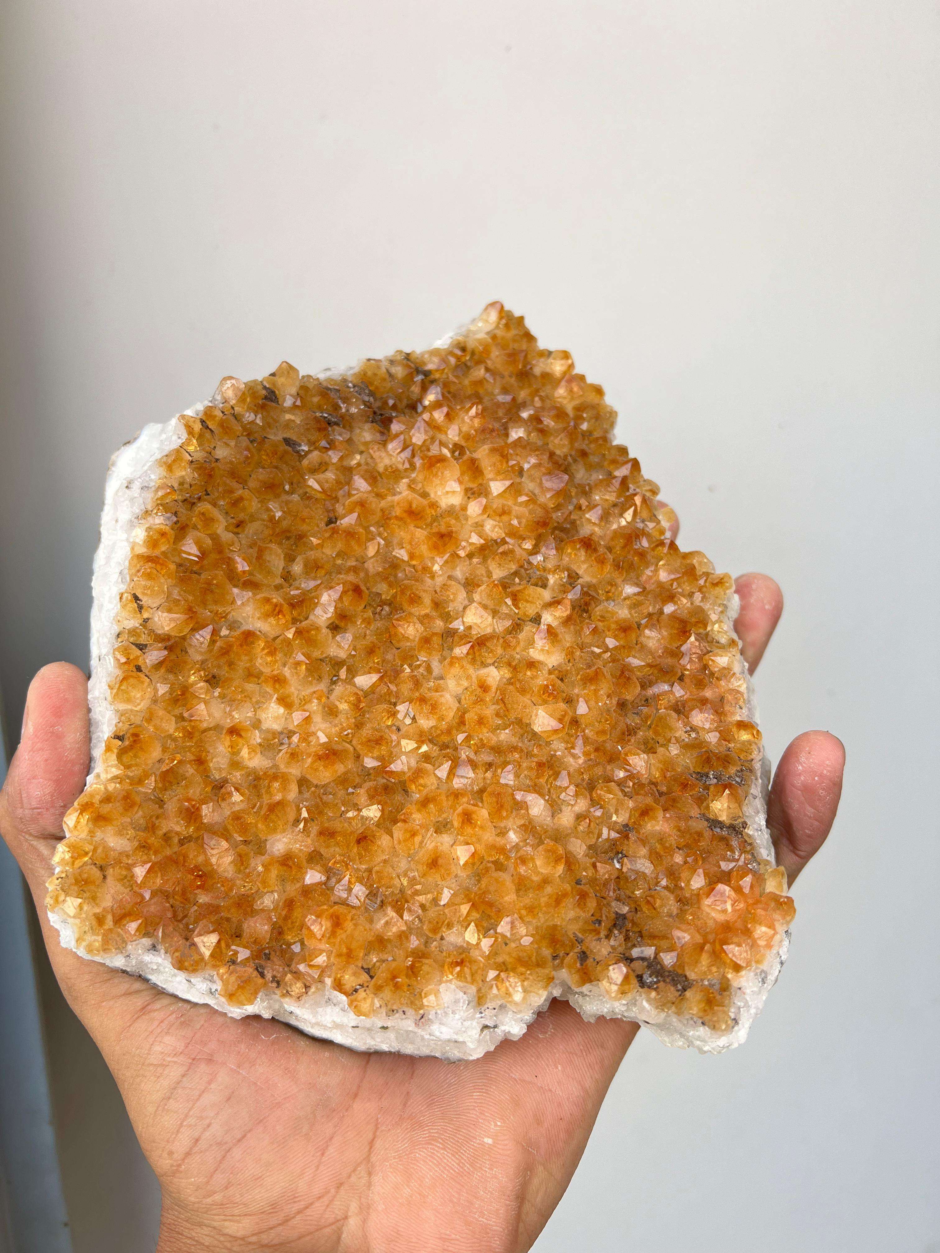 ตามที่แสดงในรูป