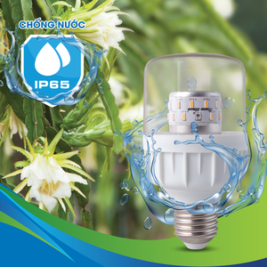 ไฟ LED เติบโตที่ออกแบบมาสําหรับการเพาะเลี้ยงมังกรผลสีแดงและสีขาวอบอุ่น - Product Image 2