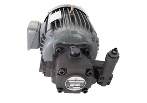 LCH IEC标准交流电机，可选安装类型 (B3 B5 B14) - Product Image 5