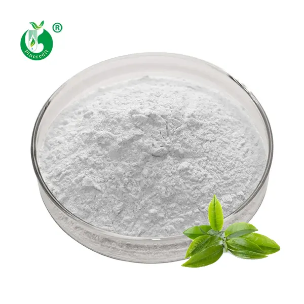 Factory Direct Sale Wholesale Extract Powder EGCG Epigallocatechin Gallate
